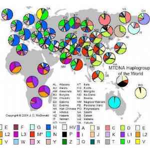 1A Mapa Haplogrupos de ADN mitocondrial nivel mund